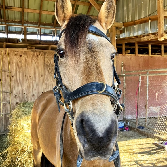 Heart Diamond Farm - Picture 3 of 15